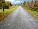 Rural Road In October
Picture # 2344

